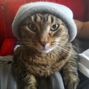 Meet your Posher, Tia